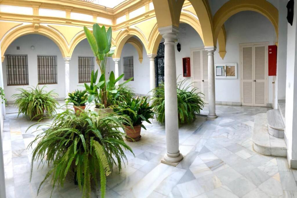 Gatu Villa Palma, Aire Acc Y Confort En El Centro Historico, " Preferente Mayores De 25 Anos Y Familias " エル・プエルト・デ・サンタ・マリア エクステリア 写真